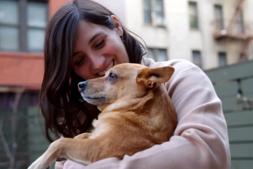 Related to Human beings, Snooze Is Altered for Puppies With Dementia