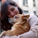 Related to Human beings, Snooze Is Altered for Puppies With Dementia
