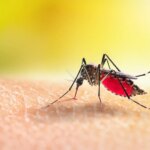 West Nile Virus Situations Climbing Nationwide Amid Mosquito Period
