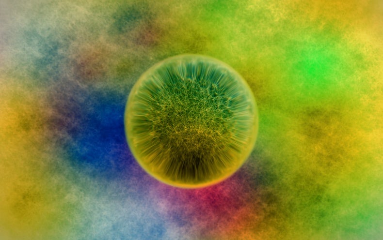 ‘Quantum Superchemistry’ Observed for the To start with Time At any time