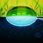 Cells Found out Generating ‘Dark Oxygen’ Underground