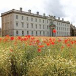 Biodiversity Flourishes in Historic Garden Turned Wildflower Meadow