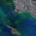 Carbon in the Oceans Is Altering the Micro-Cloth of Existence