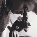 Rosalind Franklin Justifies a Posthumous Nobel Prize for Co-finding DNA Structure