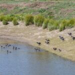 Depleted Groundwater Could Be Refilled by Borrowing a Trick from Photo voltaic Energy