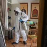 Bed Bugs and Influencers Spark Pest Worry in Paris. Here is What You Have to have to Know