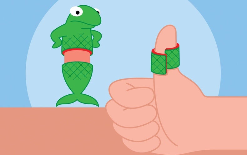 Fish Pores and skin Can Recover Other Animals’ Eye Injuries