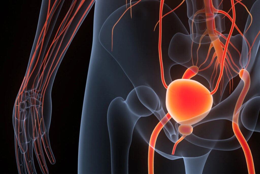 Lively Surveillance for Prostate Most cancers a Leap of Religion