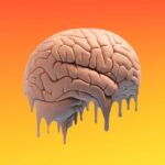 Local weather Modify is Disrupting Animals’ Brains. This is How