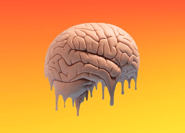Local weather Modify is Disrupting Animals’ Brains. This is How