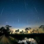 Leonid and Geminid Meteor Showers Provide Bonanza just before Year’s Conclude