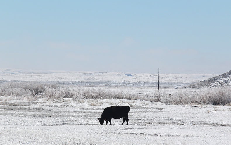 Can You Belief Farmers’ Almanacs’ Temperature Predictions?