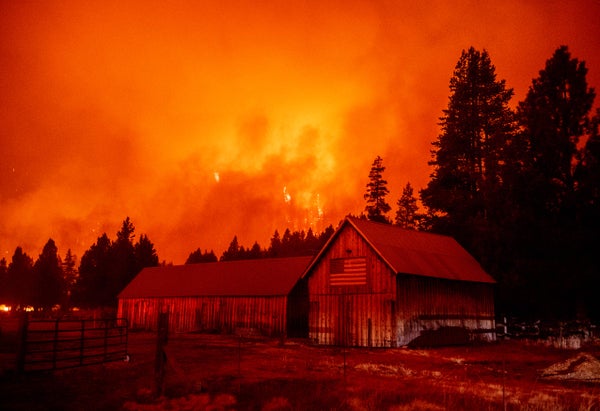 The Worst Wildfires Are Started out by People today. Here is How
