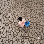 Wealthy Nations Owe Extra Than Ever in Weather Adaptation Funding