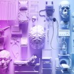 Transgender People’s Neurological Desires Are Getting Missed