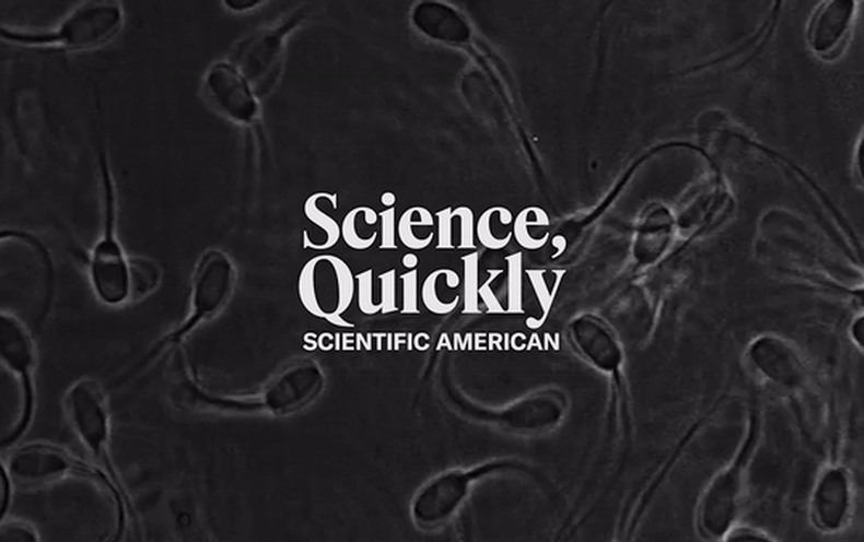 These Scientists Put Sperm Via a Kind of ‘Hunger Games’