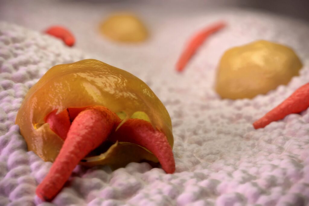 U.S. Consuming-H2o Units Still Have not Defeated This Horrible Parasite