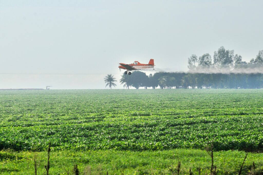 What Happens When You Deny Scientific Evidence? Search at Brazil’s Pesticide Difficulty